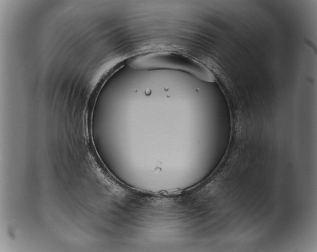 X0000099931030200806061449