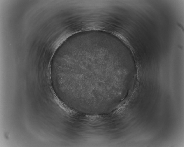 X0000099931031200806061449