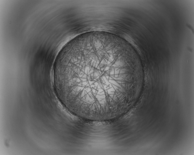 X0000099931032200806061449