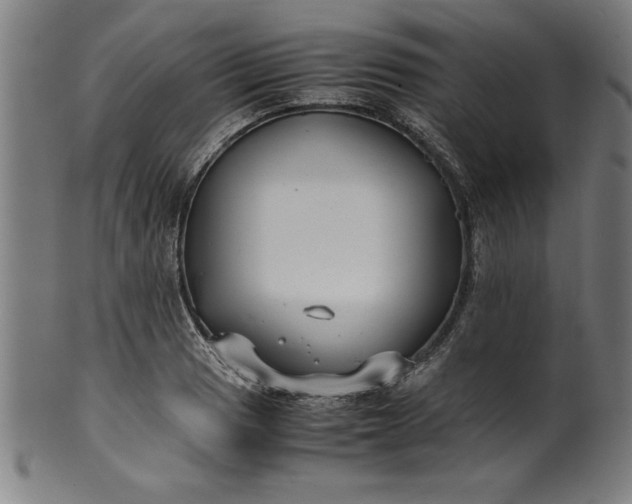 X0000099931033200806061449