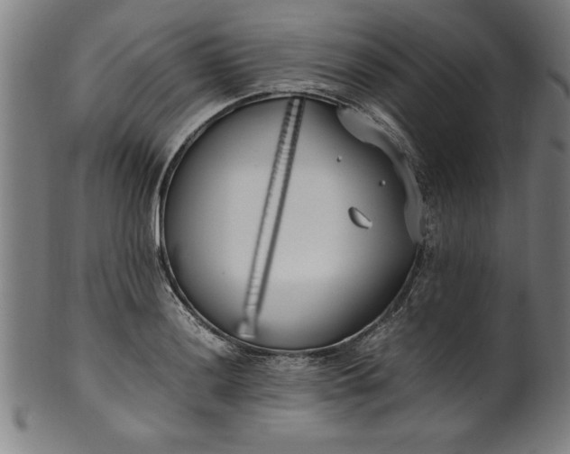 X0000099931036200806061449