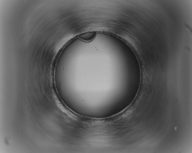 X0000099931038200806061449