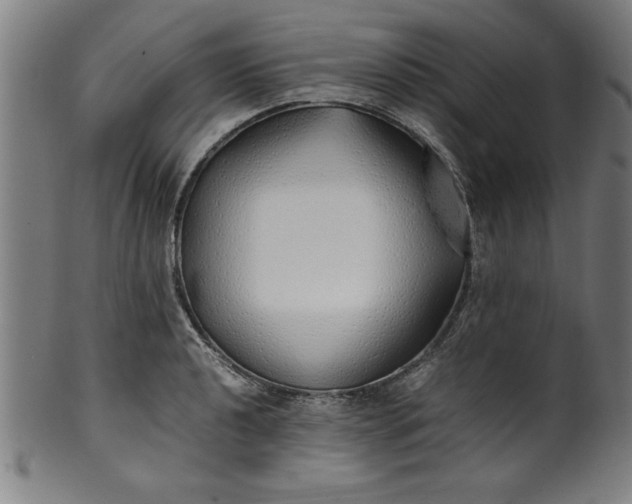 X0000099931040200806061449