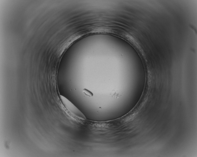 X0000099931041200806061449