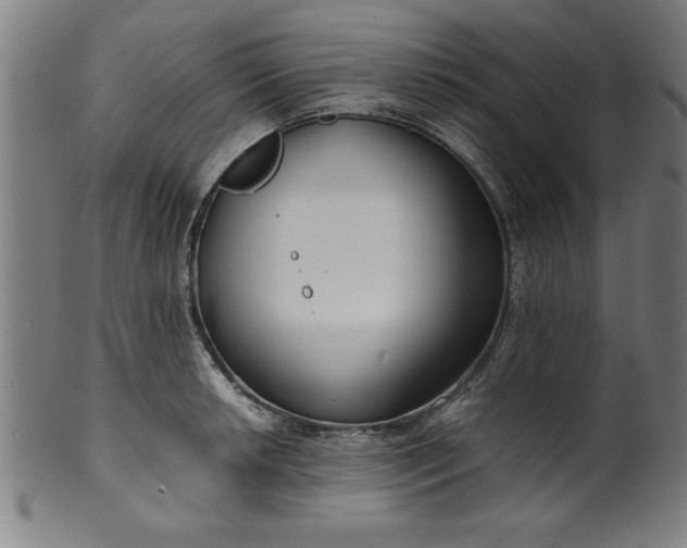 X0000099931042200806061449