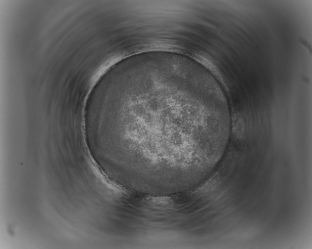 X0000099931043200806061449