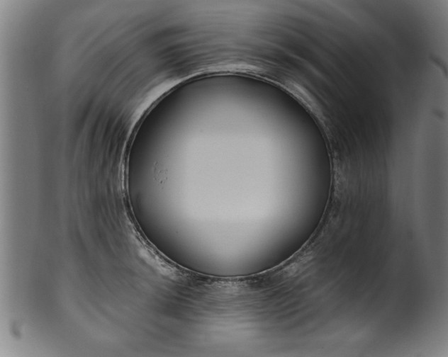 X0000099931044200806061449