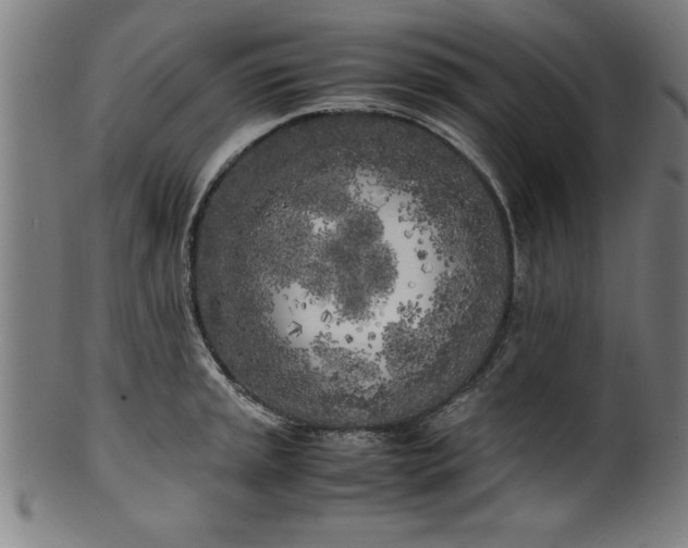 X0000099931045200806061449