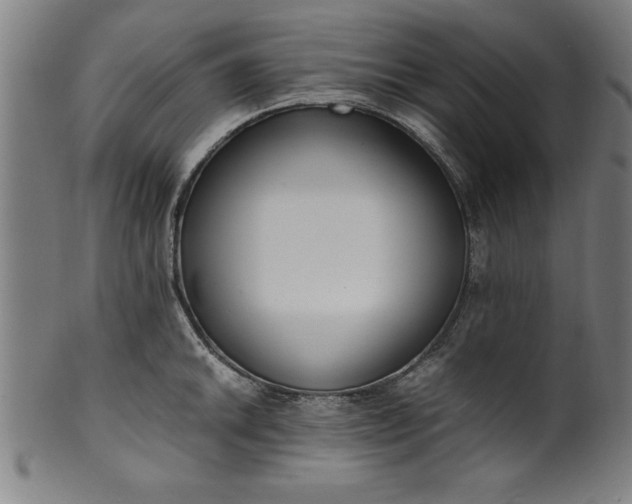 X0000099931046200806061449