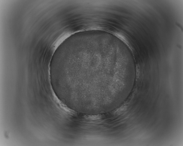 X0000099931047200806061449