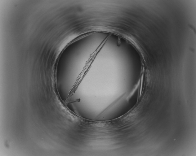 X0000099931048200806061449