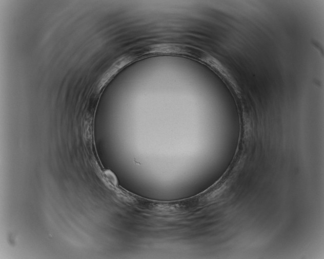 X0000099931049200806061449