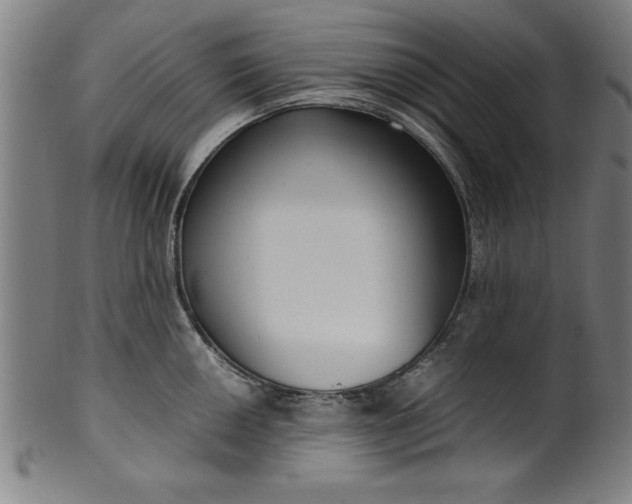 X0000099931050200806061449