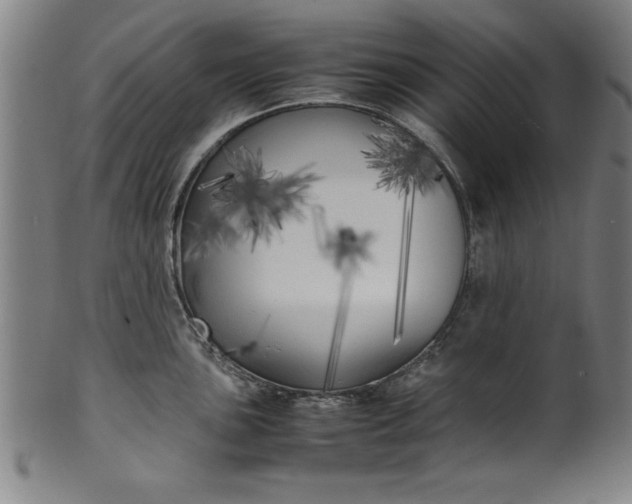 X0000099931051200806061449