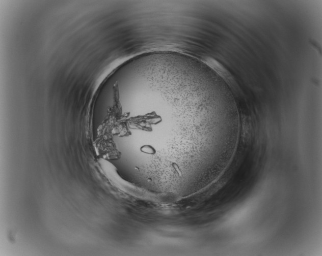 X0000099931052200806061449