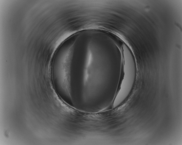 X0000099931053200806061449