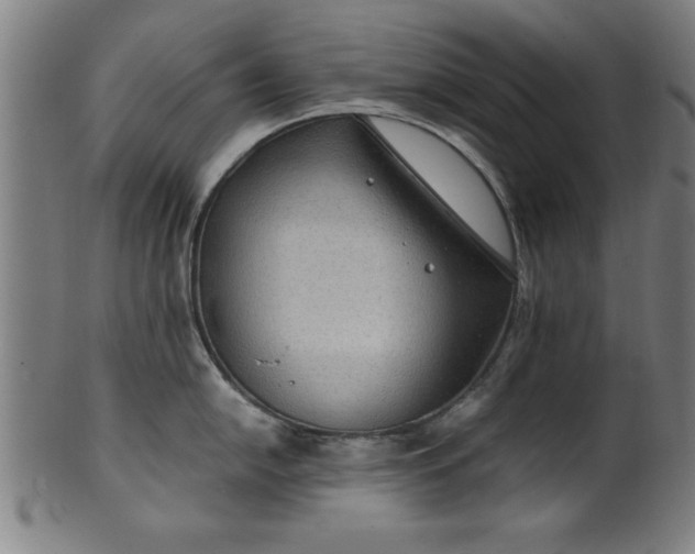 X0000099931054200806061449