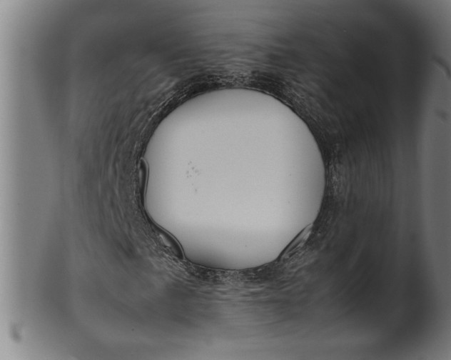 X0000099931057200806061449