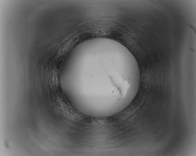 X0000099931058200806061449