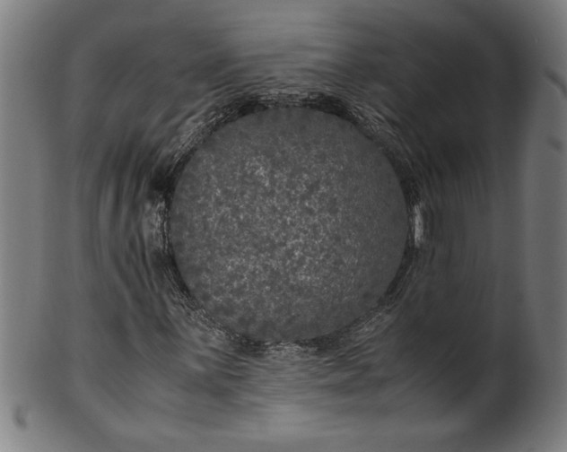 X0000099931059200806061449