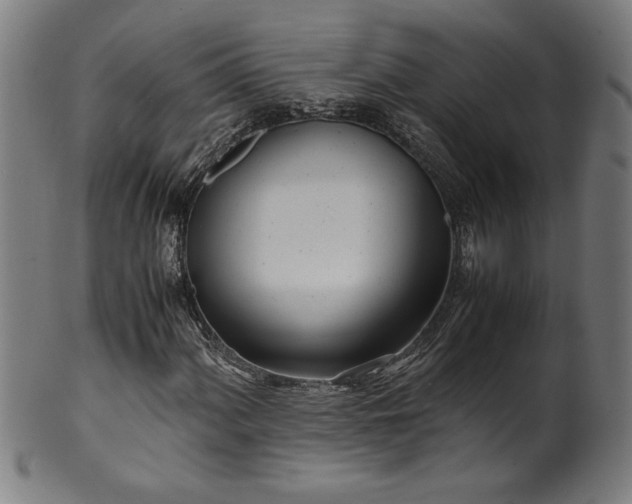 X0000099931060200806061449