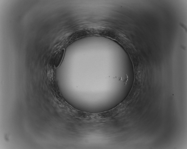 X0000099931061200806061449