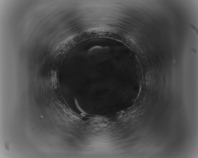 X0000099931062200806061449