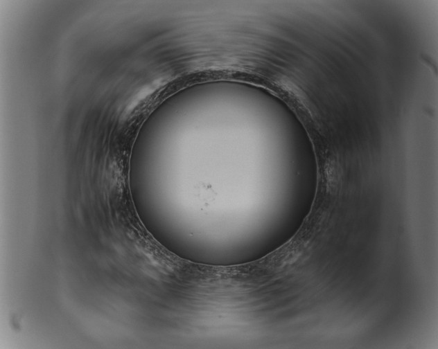 X0000099931064200806061449