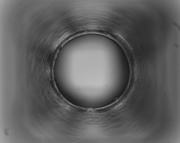 X0000099931065200806061449