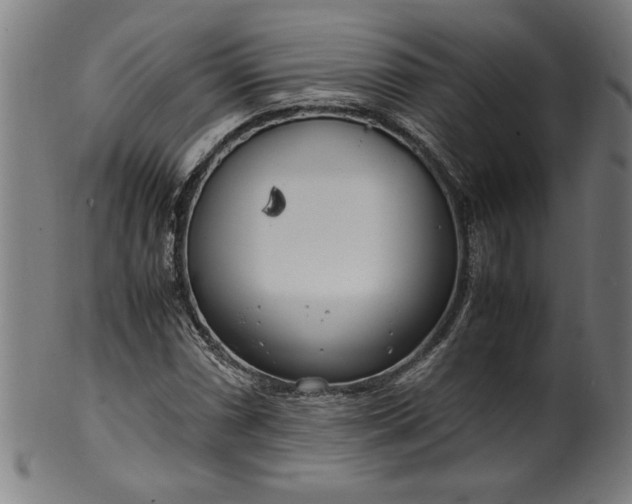 X0000099931066200806061449