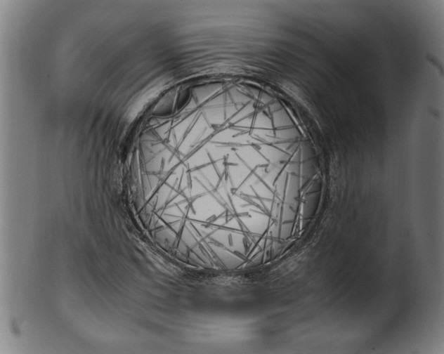 X0000099931067200806061448