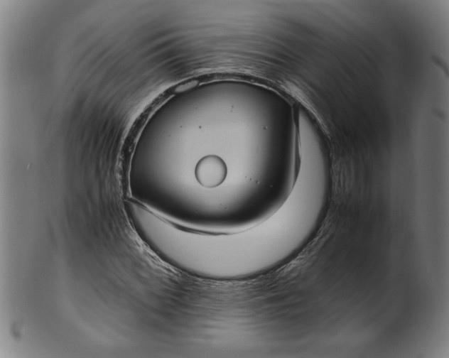 X0000099931068200806061448