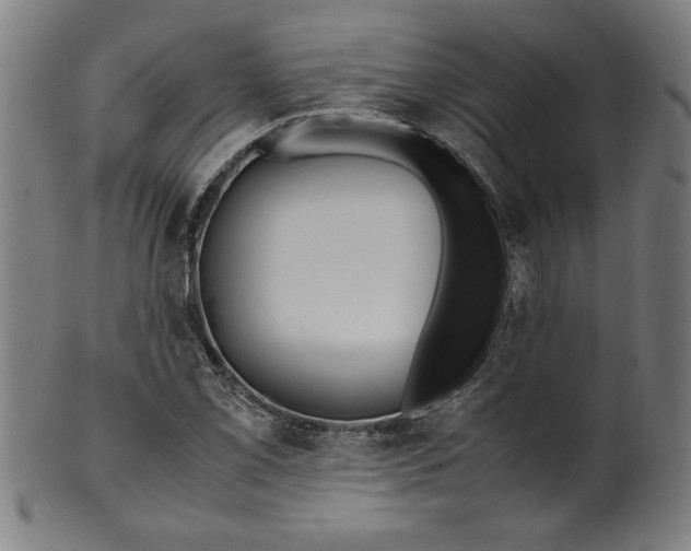 X0000099931069200806061448