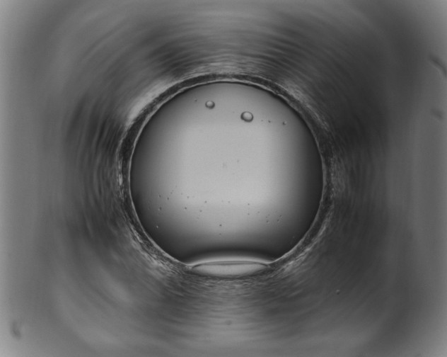 X0000099931070200806061448