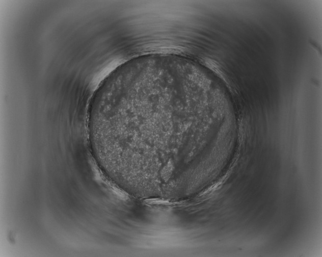 X0000099931071200806061448