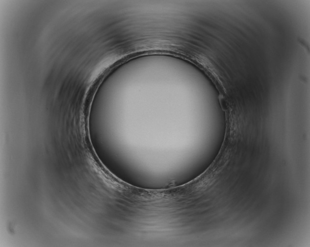 X0000099931072200806061448