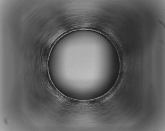 X0000099931073200806061448