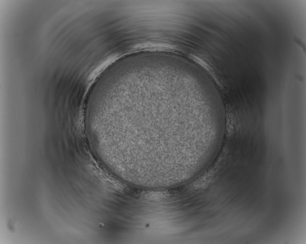 X0000099931074200806061448