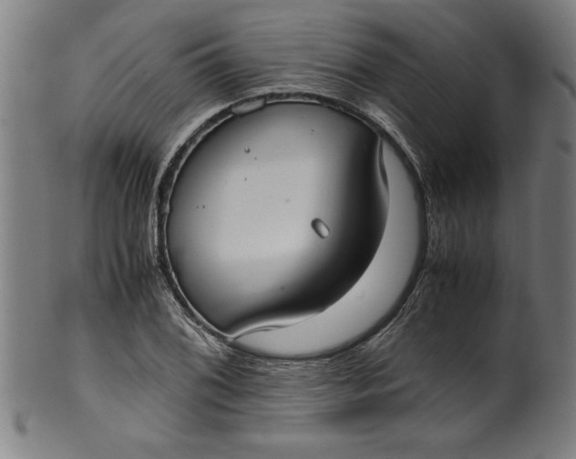 X0000099931076200806061448