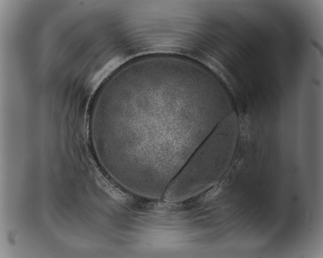 X0000099931077200806061448