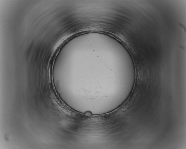 X0000099931078200806061448