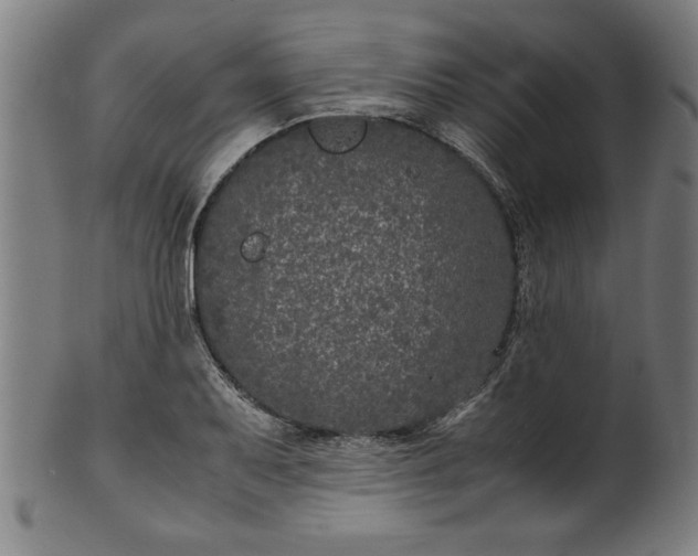 X0000099931079200806061448