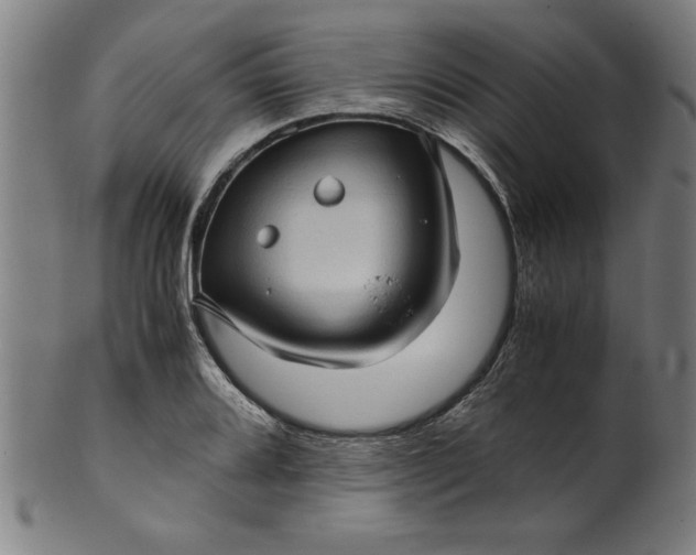 X0000099931080200806061448