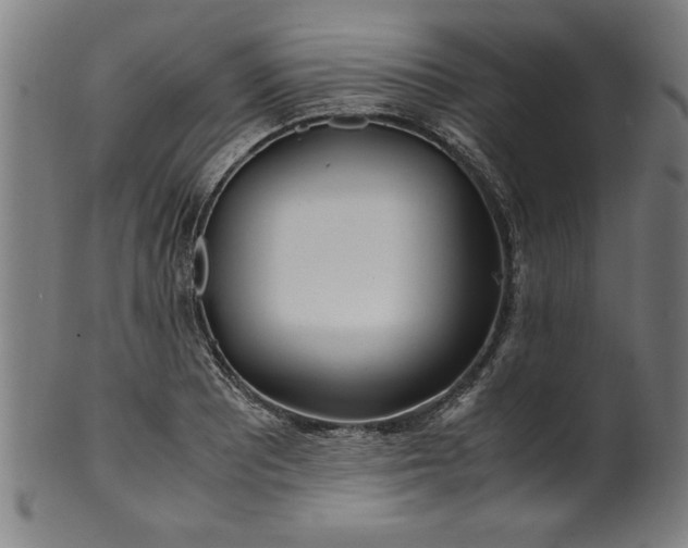 X0000099931081200806061448