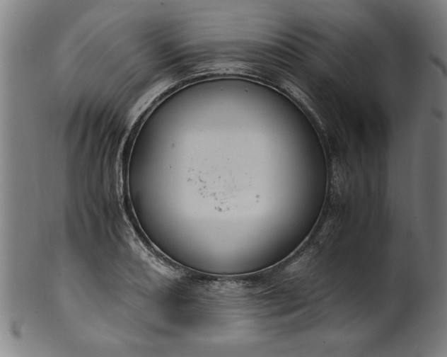 X0000099931082200806061448