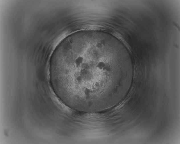 X0000099931083200806061448