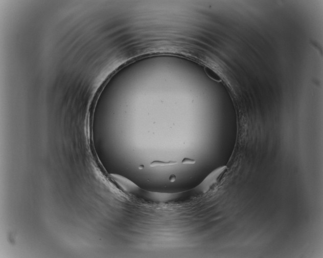 X0000099931084200806061448