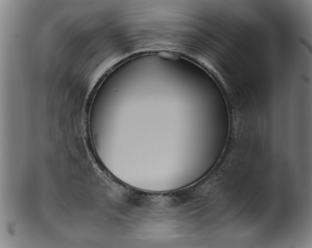 X0000099931085200806061448