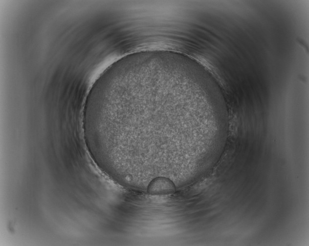 X0000099931086200806061448