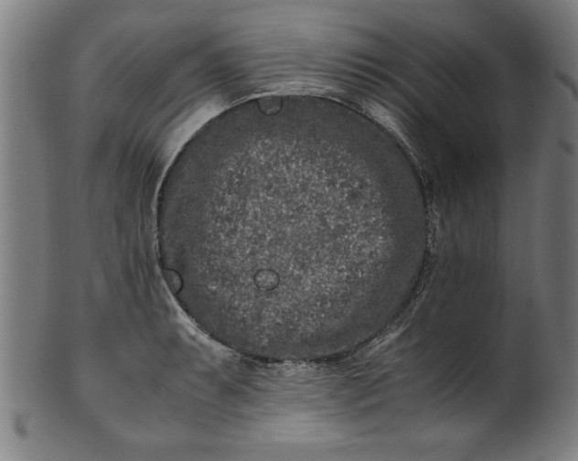 X0000099931087200806061448